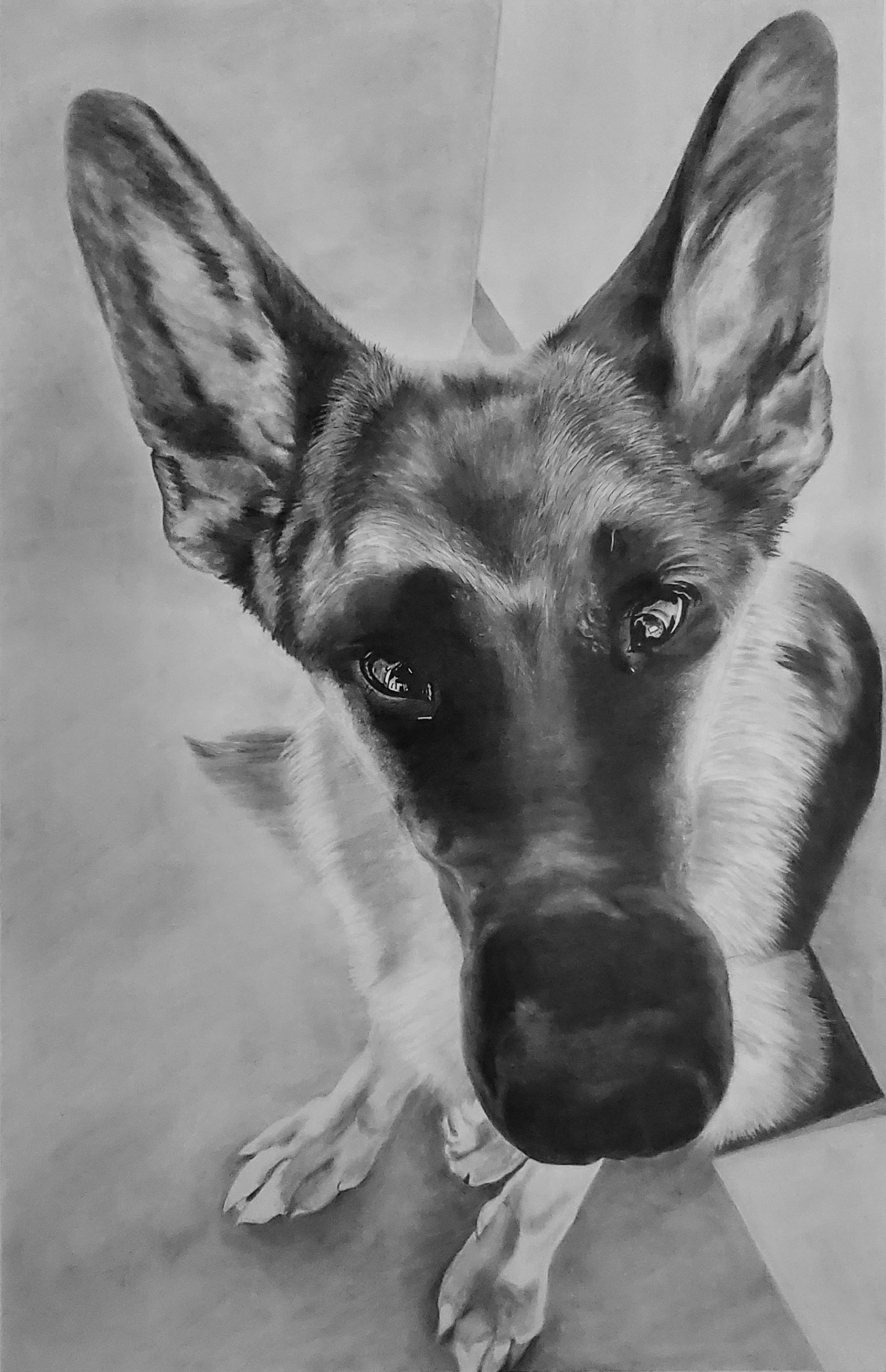 Graphite Portrait Example